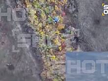 Битву дронов в небе над Красноармейском сняли на видео от первого лица