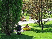 Лужайки в парках Краснодара – уютное местечко для пикника или неприкосновенная территория?