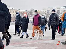 Часть россиян получит новую выплату в 7000 рублей