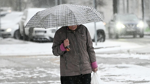 Погода в Москве повторила 57-летний рекорд влажности