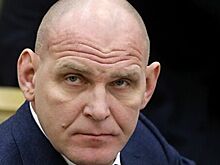 Александра Карелина выдвинули в сенаторы от Новосибирской области