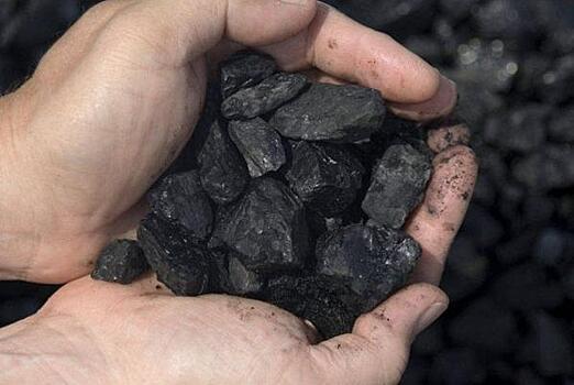 Угольные терминалы на Дальнем Востоке станут экологичнее: заявление Виктории Абрамченко