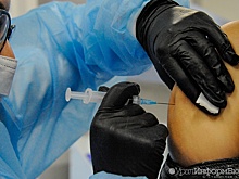 Власти отреагировали на сообщения об отсутствии "Спутника Лайт" в Свердловской области