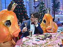 ЛДПР решила разобраться с надоевшими «новогодними огоньками»