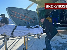 Чибиса на вертолете транспортируют в областной центр