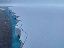 Некогда крупнейший в мире айсберг А23а потерял почти 80 процентов площади