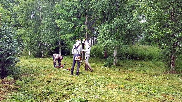 Зеленые зоны приводят в порядок в селе Молочное в Вологде