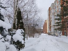 На 16 февраля в регионе объявлен желтый уровень погодной опасности