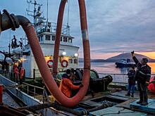 Японский реванш: «Россия обязана заплатить высокую цену за СВО - у нее нет выбора»