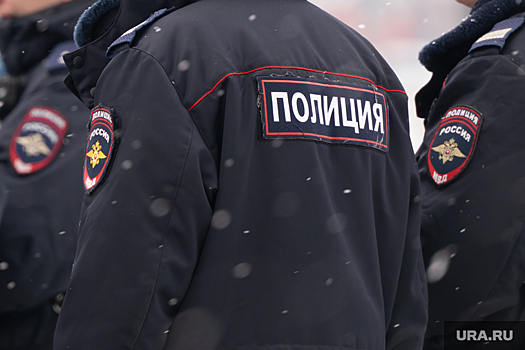 Высокопоставленных полицейских сняли с должностей после угона машины на Урале