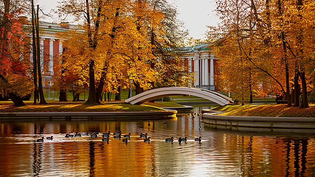 Названа предварительная причина смерти найденного в пруду в Москве мальчика