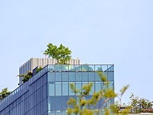 Новые экотехнологии повышают качество воздуха в городах