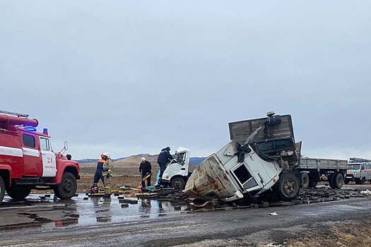 В Бурятии при столкновении двух грузовиков погиб водитель