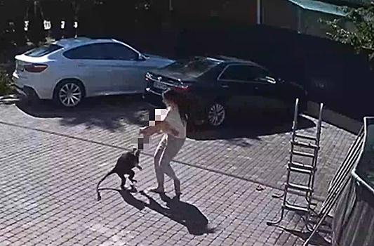 Стало известно о состоянии девочки после нападения обезьяны в Подмосковье