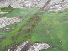 В Саратове из-под земли полилась зеленая «эктоплазма»