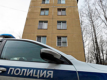 У московского пенсионера похитили картину Саврасова
