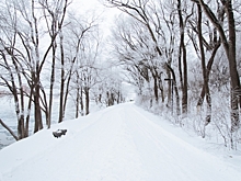 В Рязани на уборку и вывоз снега потратят более 6 миллионов рублей