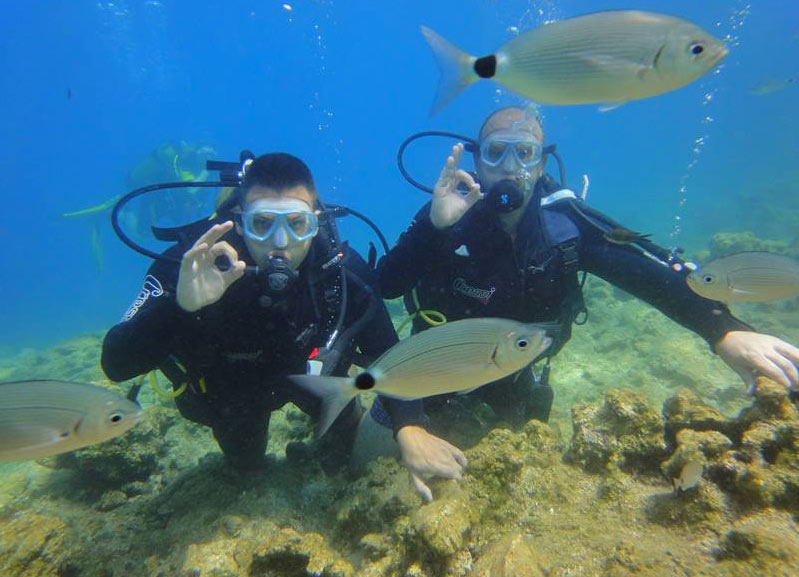 Дайв-клуб Paradise Diving, Мармарис, Турция, Ближний Восток