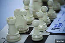 Тюменские организаторы вечеринок 18+ маскируют встречи под шахматные турниры