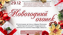 «Новогодний огонек» зажегся в КДЦ «Забота» в Вологде