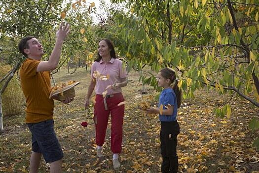 У россиян начали изымать неиспользуемые земельные участки