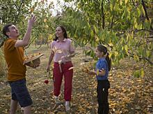 У россиян начали изымать неиспользуемые земельные участки