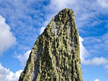 Российские учёные обнаружили минералы, запустившие жизнь на Земле