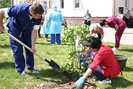 Аллею в честь погибших от COVID-19 медиков высадили на Бору