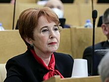 Депутат Дмитриева предложила узаконить «инженерную деятельность»