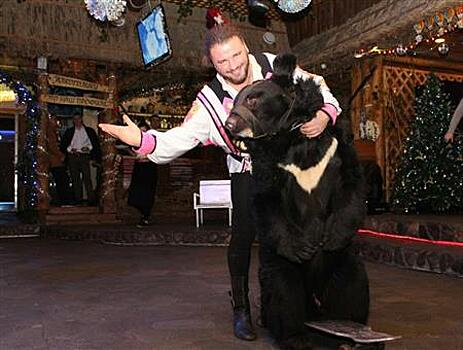 Одного из цирковых медведей, за которых переживала общественность, сегодня обследовали ветврачи