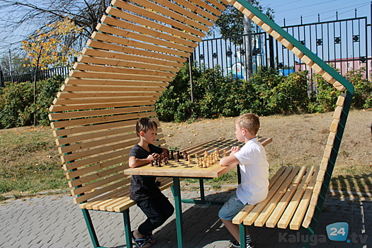 Занимающаяся банкротством физлиц компания сделала подарок шахматистам