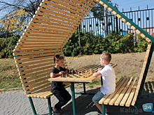 Занимающаяся банкротством физлиц компания сделала подарок шахматистам