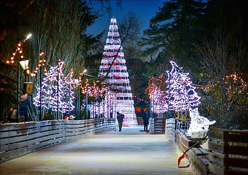 В Омске объявили о старте заливки катков