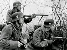 Какие славянские народы воевали за Гитлера на Великой Отечественной