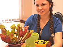 Реальной ценой проезда в костромском транспорте назвали 42 рубля