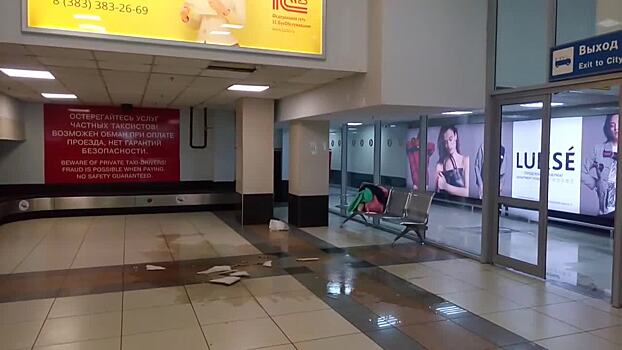 «Плитка начала падать»: в аэропорту Толмачёво протёк потолок