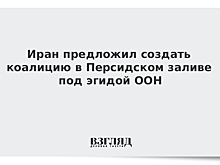 Зариф: Иран готов работать с РФ над безопасностью в Персидском заливе