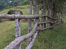 В России приняли закон о повторной выдаче земельных участков