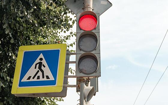 В Касимовском районе открыли новый светофор по нацпроекту