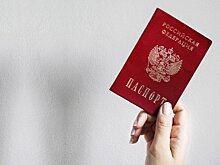 Вячеслав Володин объяснил необходимость запрета двойного гражданства для чиновников