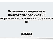 Курды успешно ведут зачистку "последней" удерживаемой ИГ* деревни в Сирии