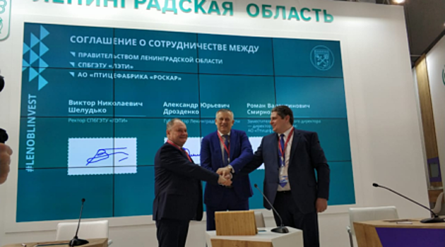 40,7 млн рублей потратят в Ленобласти на производство яиц