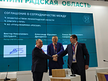 40,7 млн рублей потратят в Ленобласти на производство яиц
