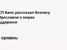 МСП Банк рассказал бизнесу в Ярославле о мерах поддержки