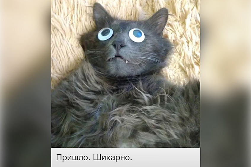 Без комментариев...