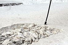 Глава Ижевска проверил качество уборки снега в 34-м квартале города