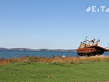 Названы темы ВЭФ-2023