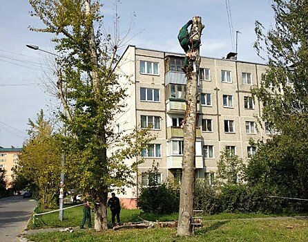 Аварийные деревья удалили в Рязановском