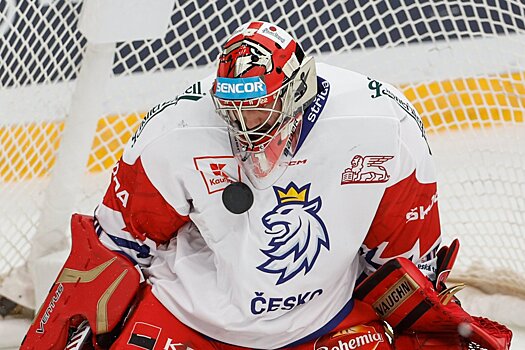 Сборная Чехии по хоккею объявила состав на Олимпийские игры — 2022