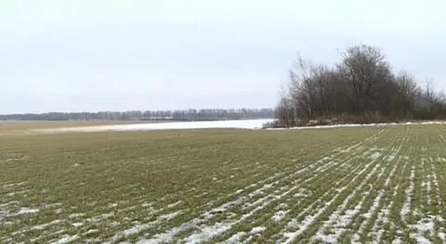 Сельхозпроизводители Тамбовщины перевыполнили план по приобретению удобрений на 50%